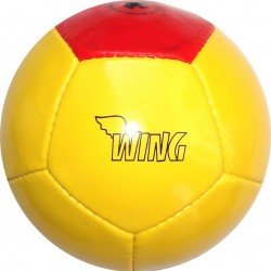 Promotional Ball