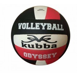 Volley Ball